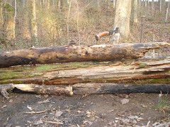 4145294616_79f31e183d_m.jpg