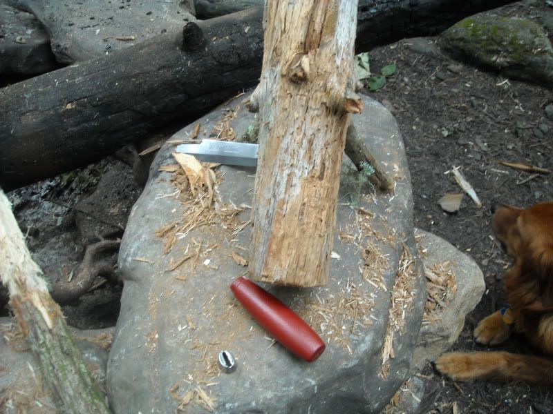DSCN0373.jpg