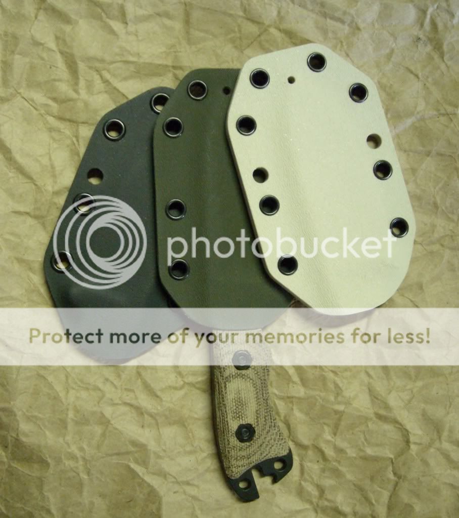 sheath_beckernecker.jpg