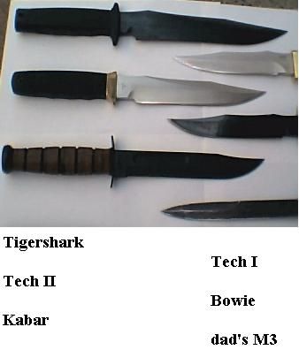 several_2.jpg