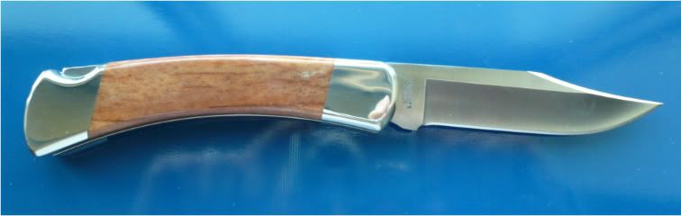 Giraffebone110003.jpg