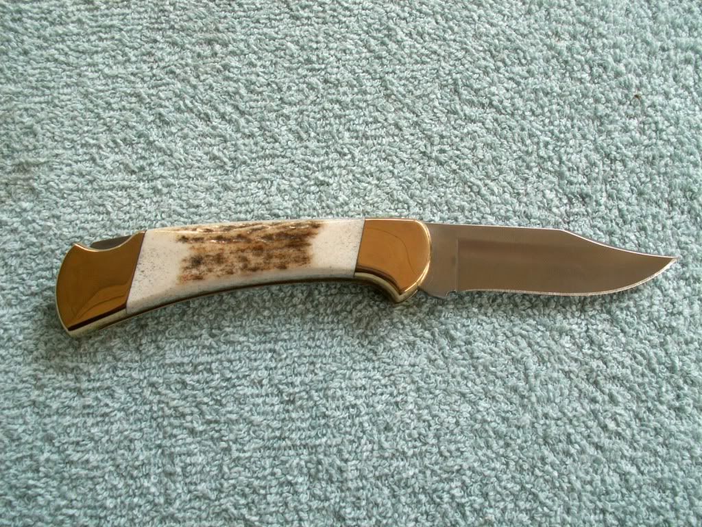 Stag112b.jpg