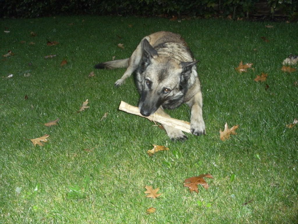 DSCF1227.jpg