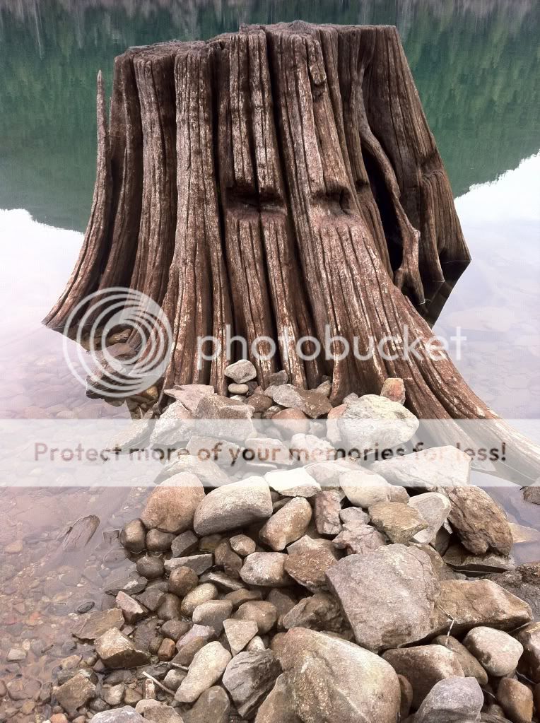 RattlesnakeLake22_zps61be426d.jpg