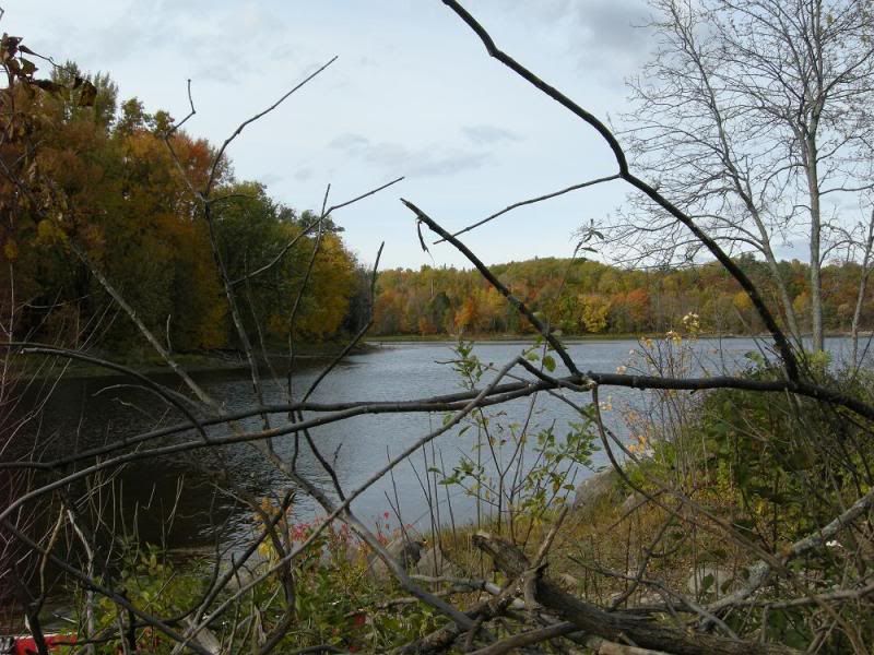 DSCN1649.jpg