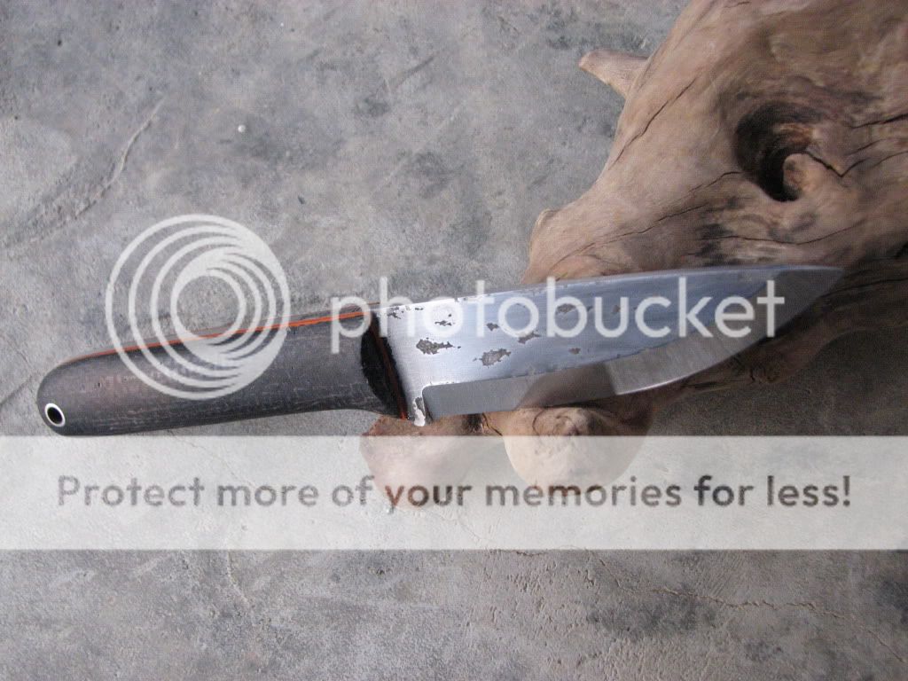 IMG_3747_zps2d997409.jpg
