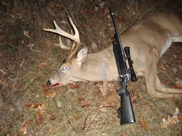 MNBuck002.jpg