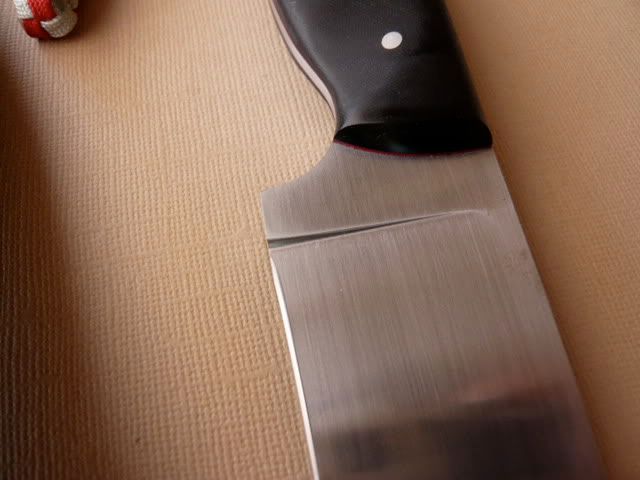 P1000641.jpg