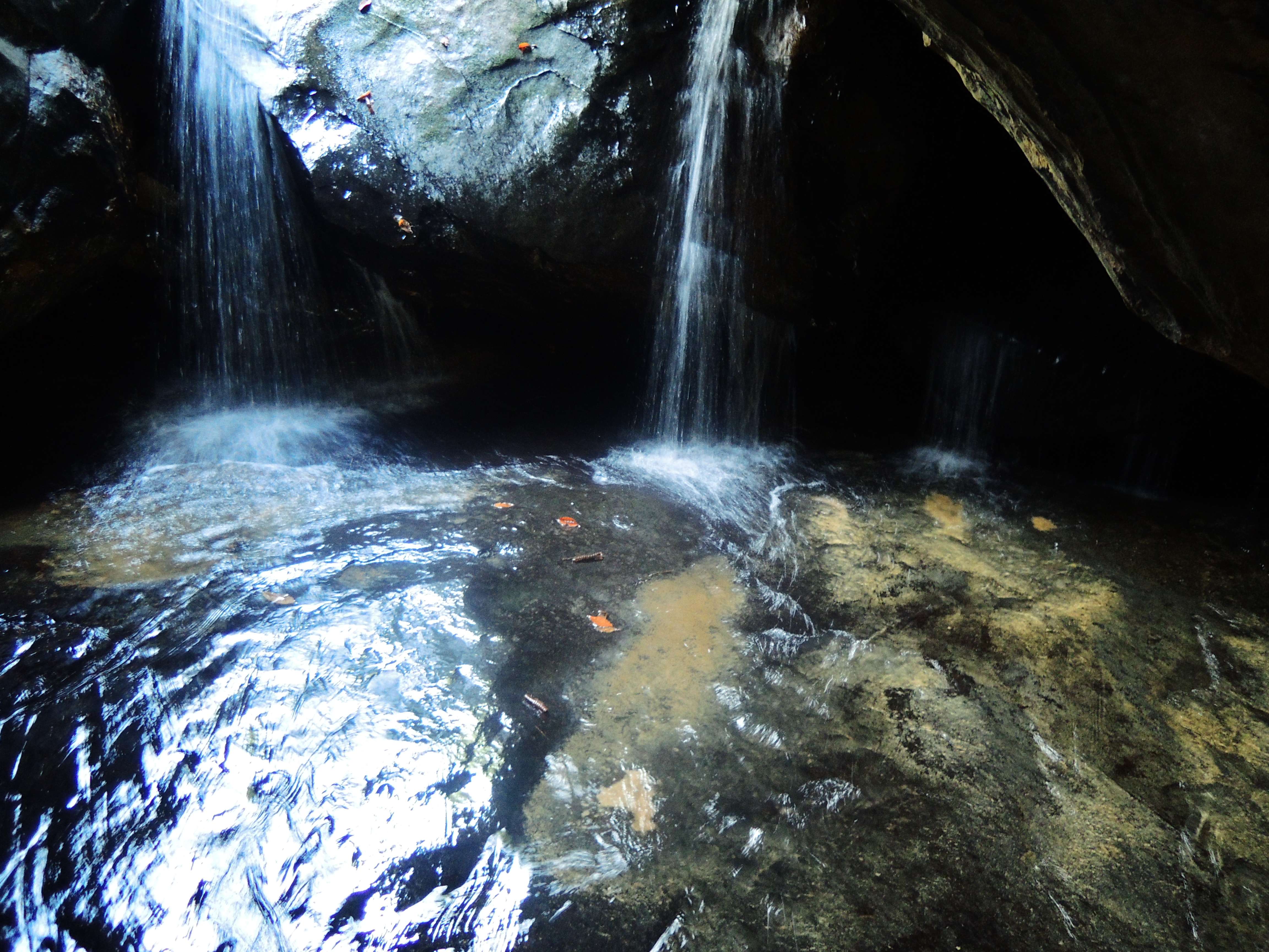 dscn5093x.jpg