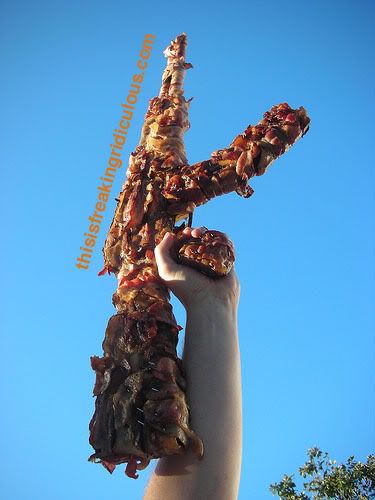 bacon-gun.jpg