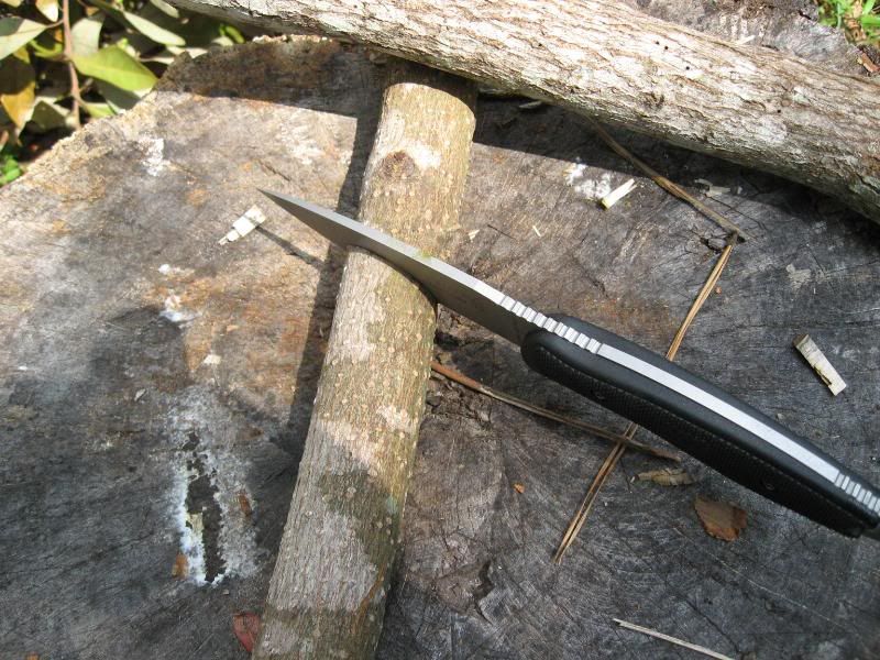 S5MOD015.jpg