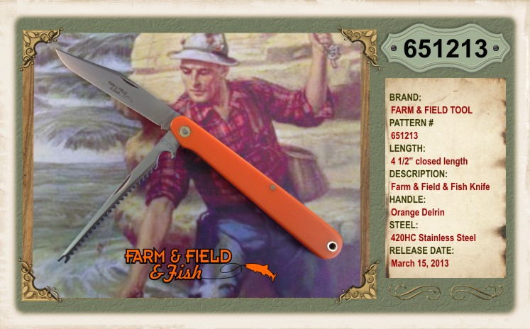 651213-fffff-orange1.jpg