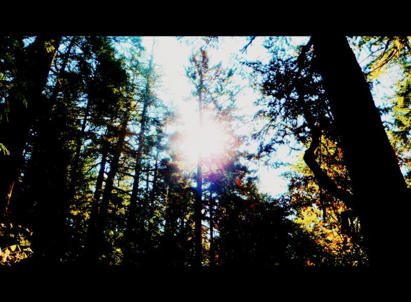 JohnDeanFall2012010-001.jpg