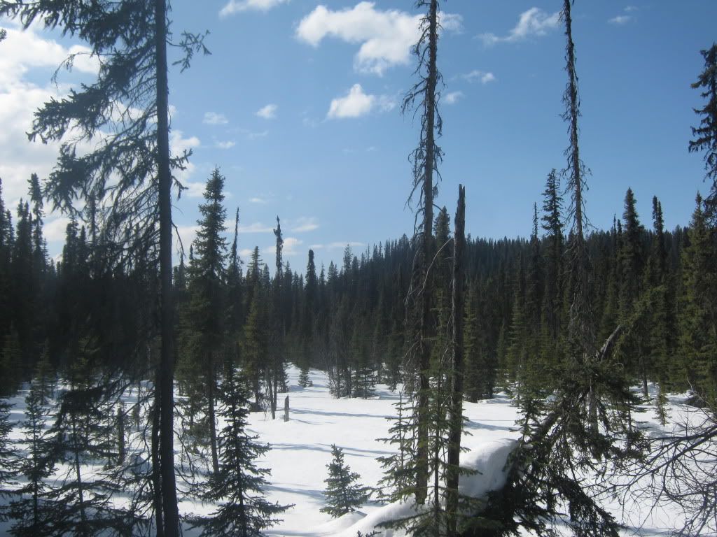 010-3.jpg