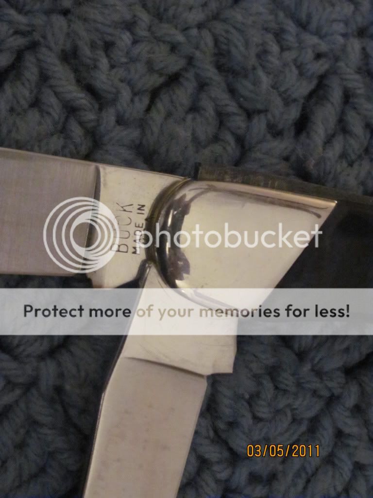 317Pathfinder008.jpg