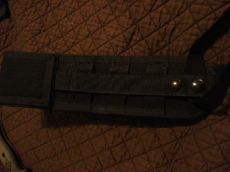 20090313_316.jpg