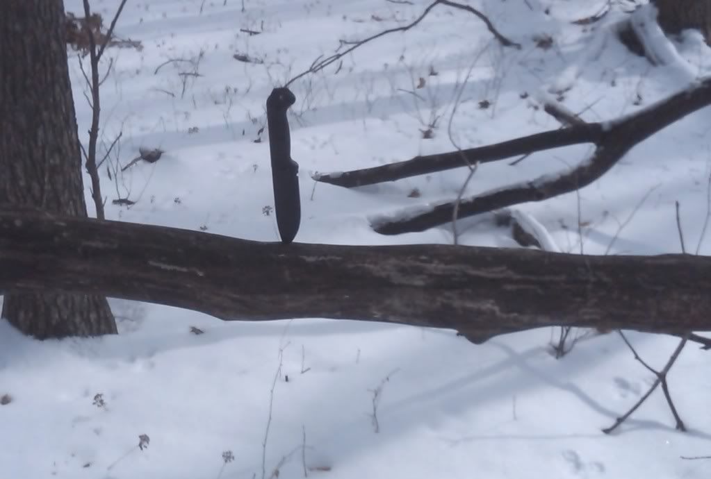 20110212_ac_11.jpg