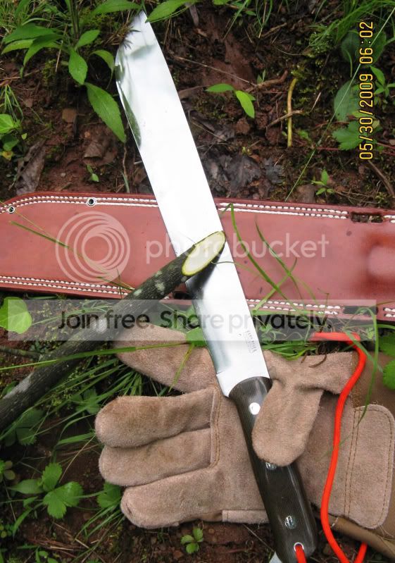 machetetests-tulippoplar008.jpg
