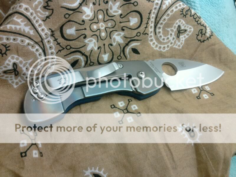 1299389761-picsay.jpg