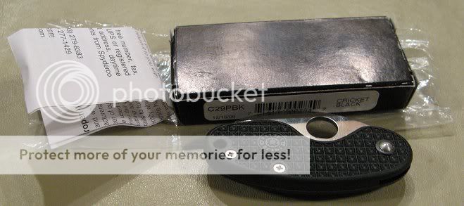 blackcricket1.jpg