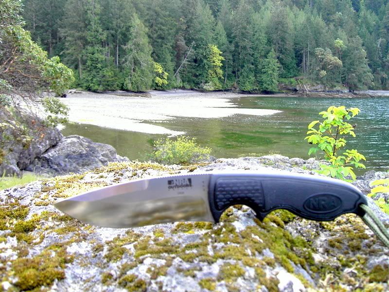 SaanichInlet007.jpg