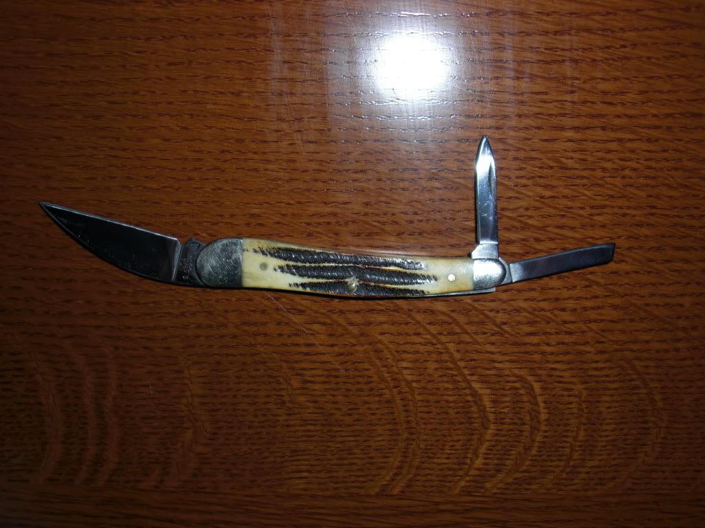 151.jpg