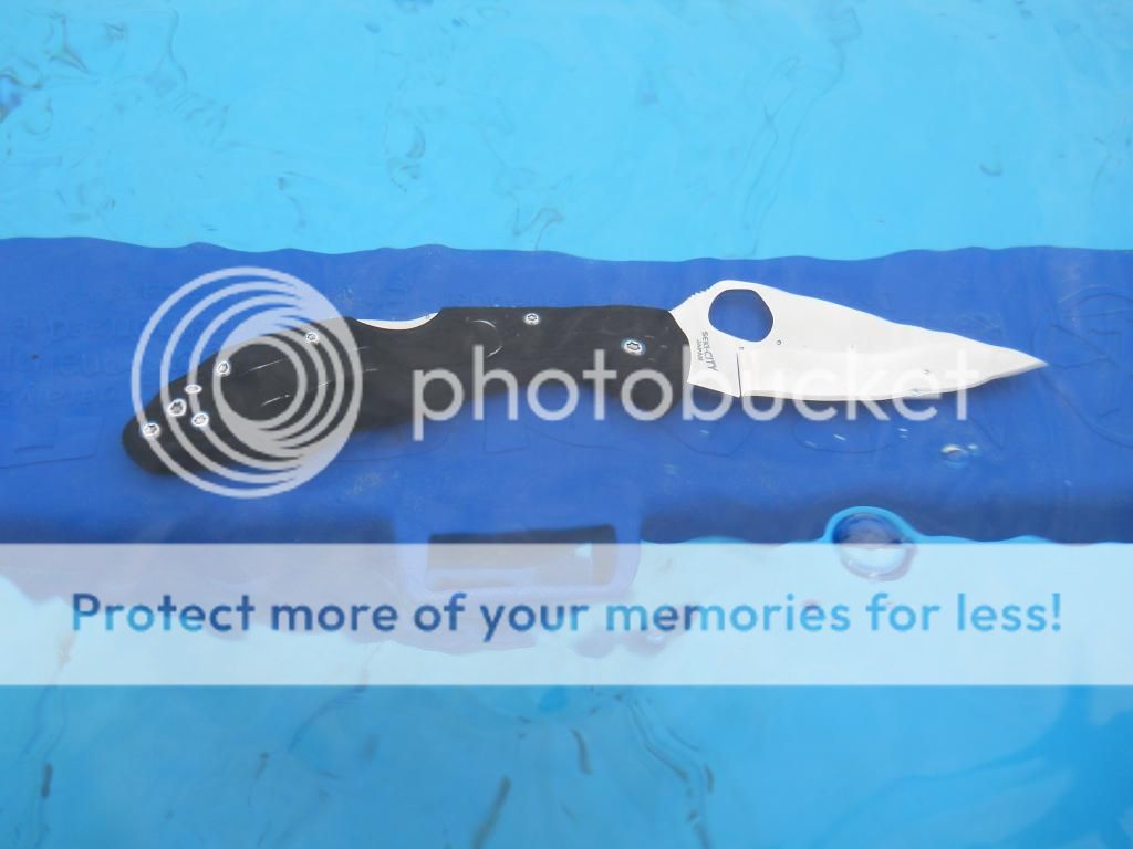 Delicapicsagain001_zps9bb65950.jpg