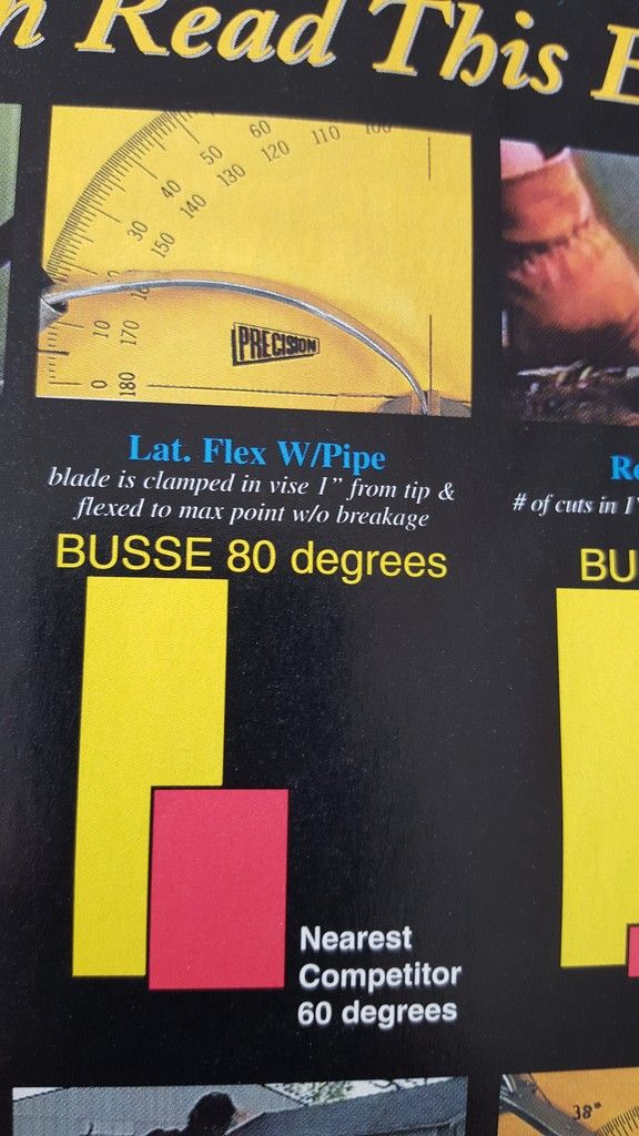 Busse2.jpg