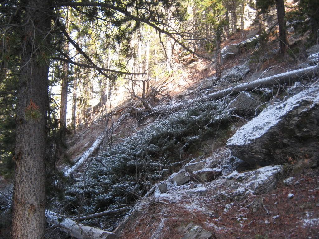 IMG_9339.jpg