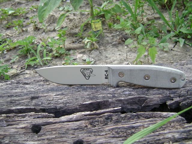 RC4002.jpg
