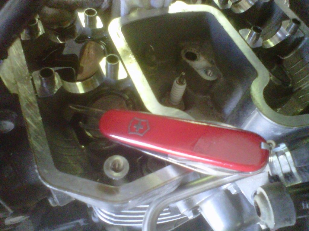 IMG00506-20120603-1116.jpg