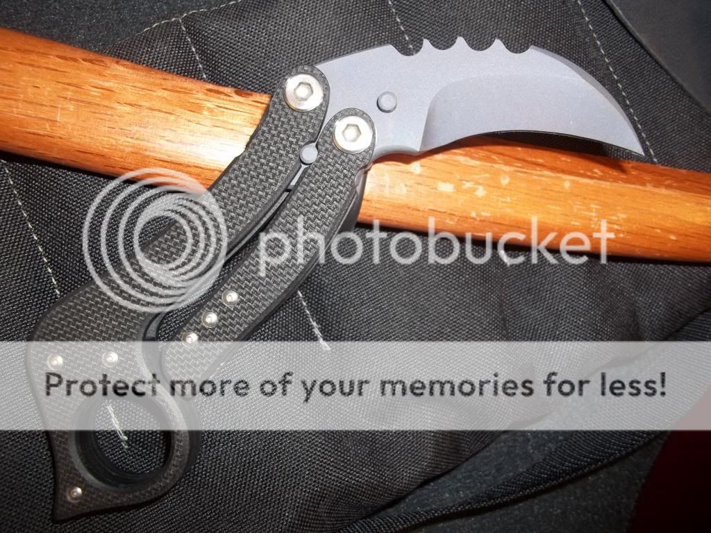 100_1169_zps686b5dff.jpg