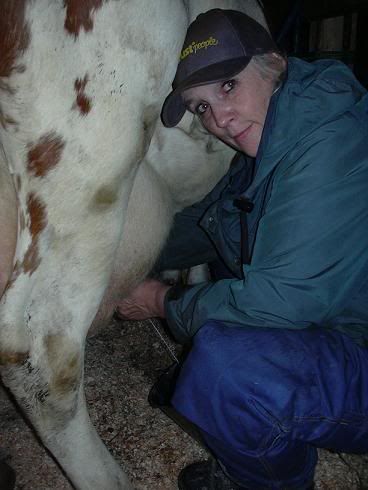 milkingNana.jpg