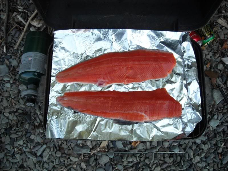 sockeye014.jpg