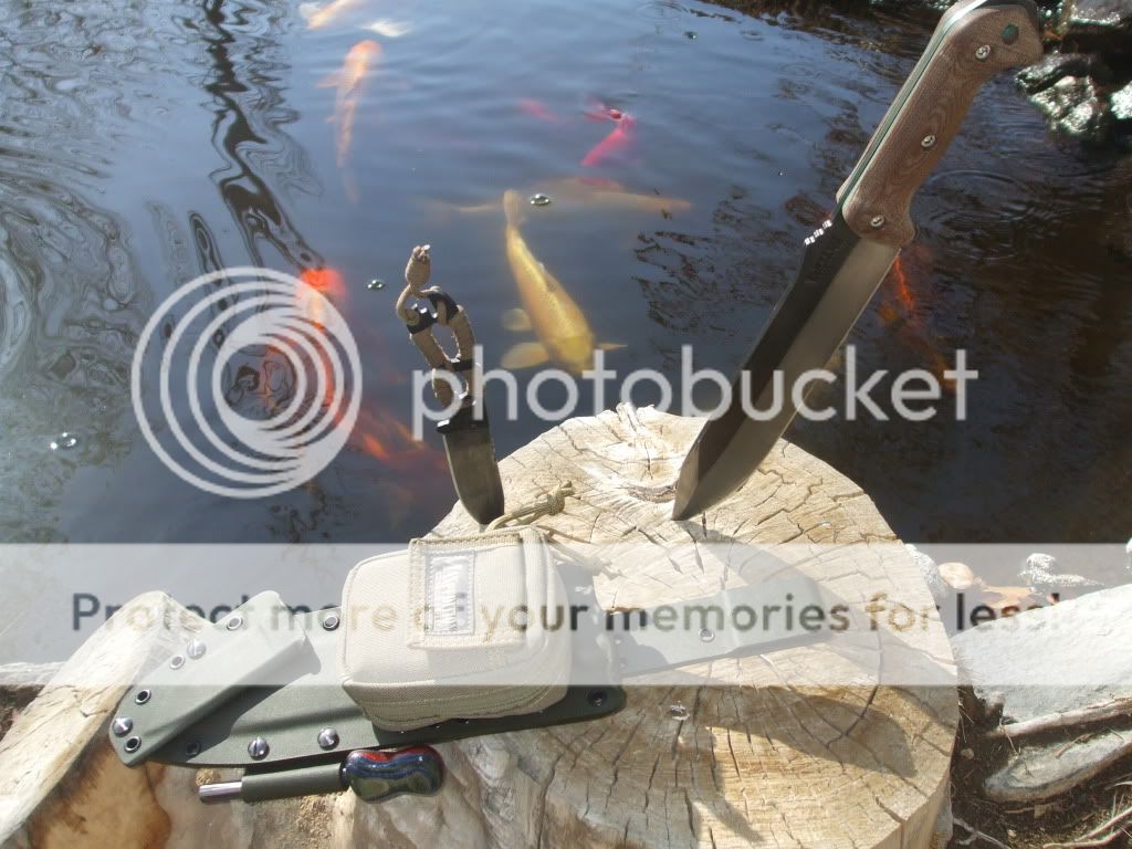 pondbeckerpics004.jpg