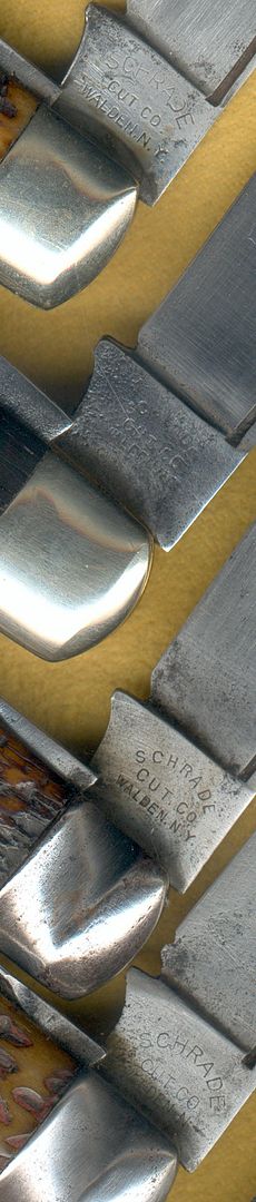 SchradeArchedStamps2.jpg