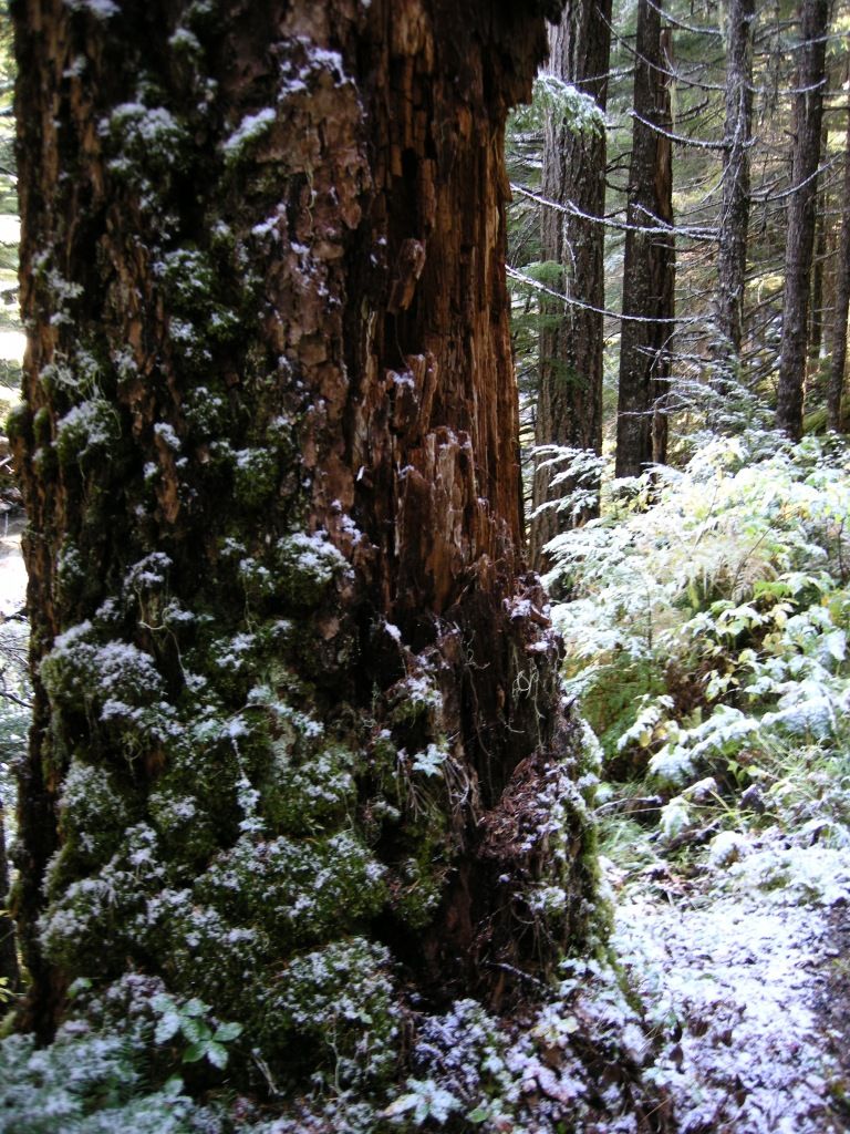 DSCN2525.jpg