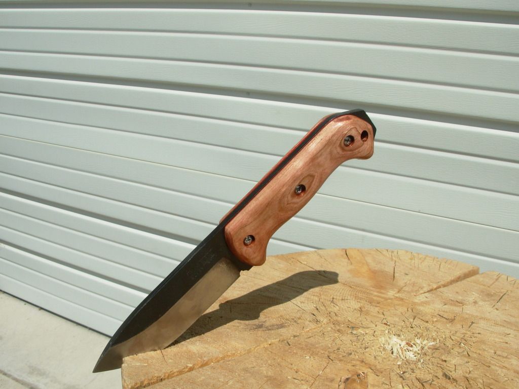 DSCN1717.jpg