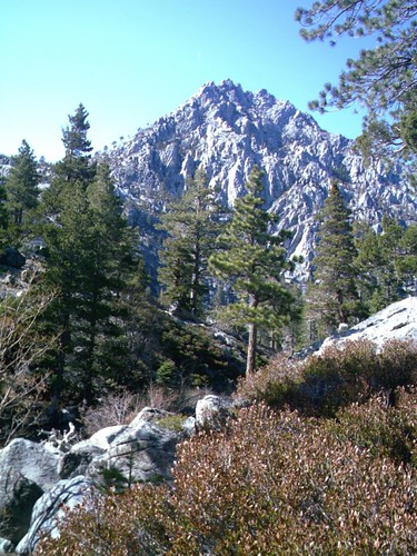 2098782279_01076b56fe.jpg