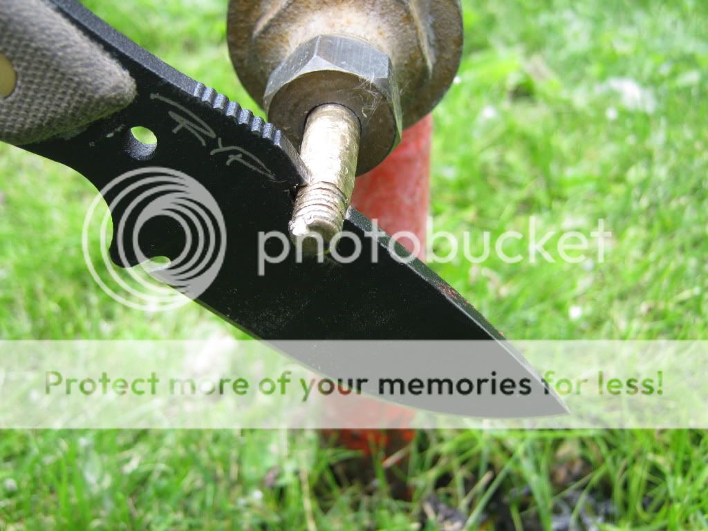 IMG_8090.jpg