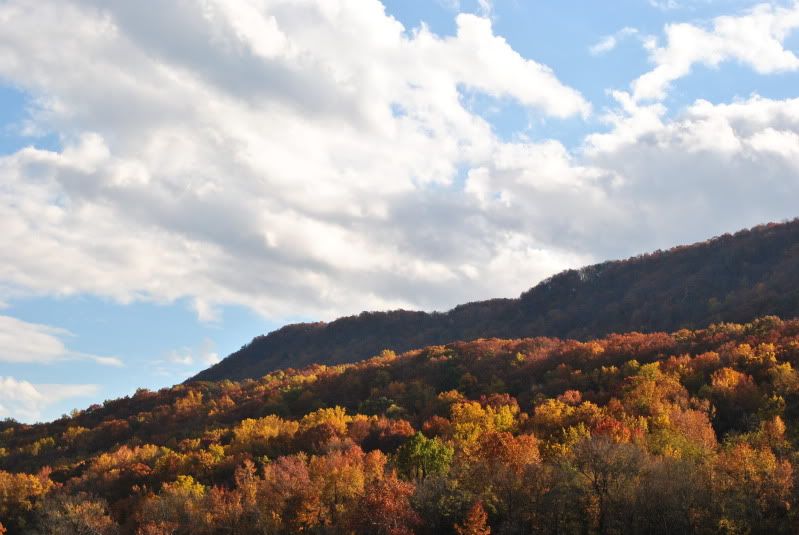 DSC_8293.jpg