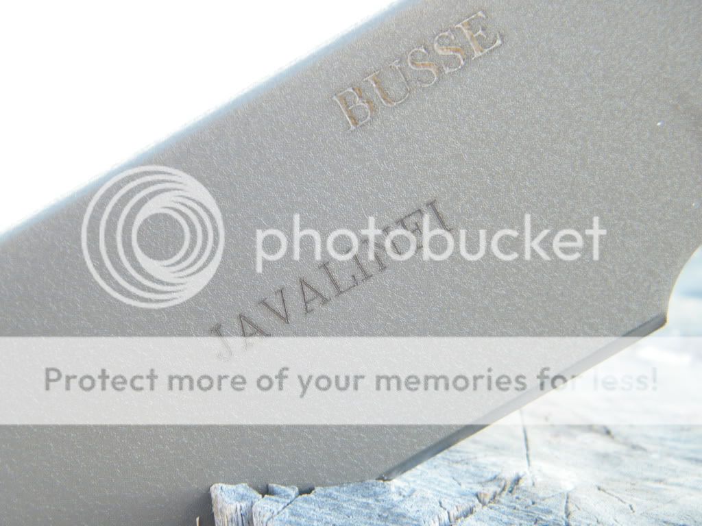 DSCF2313.jpg