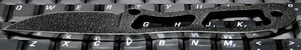 BlackJaxxGW_polishedspine1.jpg