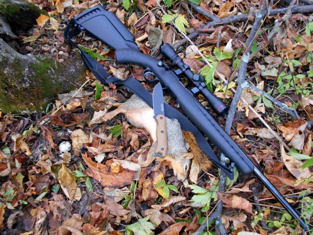 20151023_d0010_zpshswiyrzg.jpg