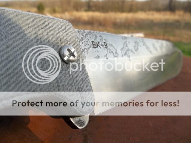 100_0119.jpg