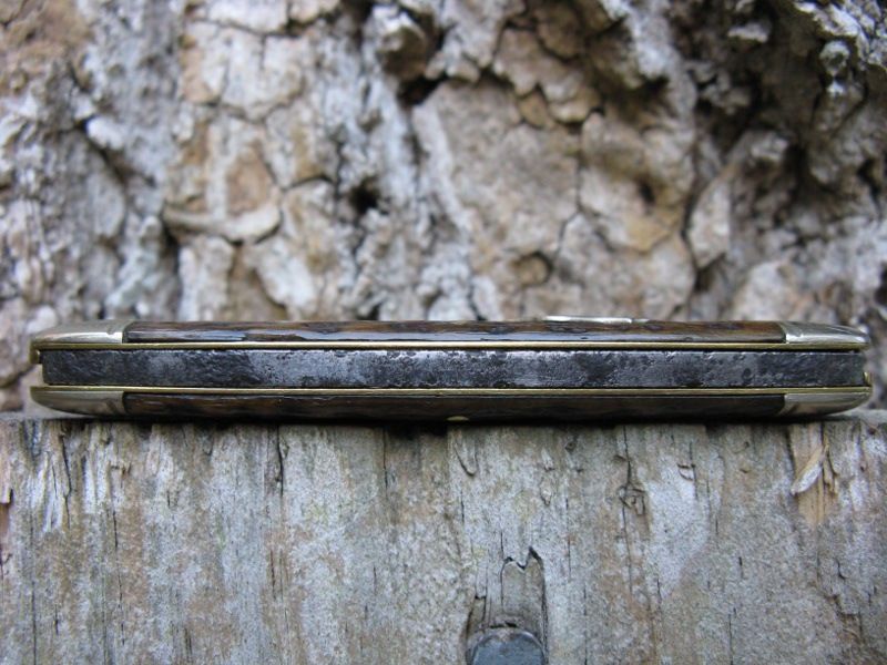 CamillusEENov8c.jpg