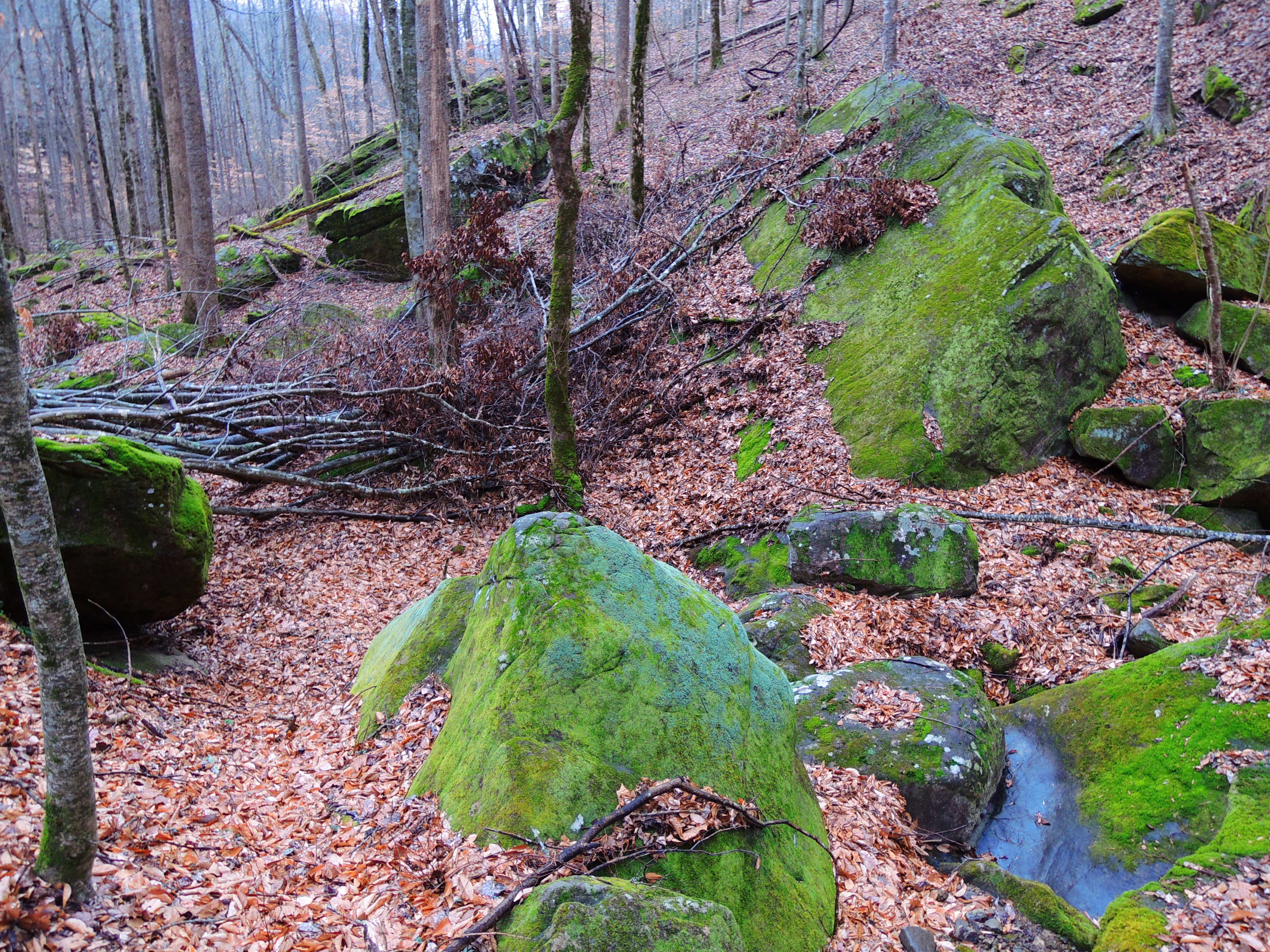 dscn7914.jpg