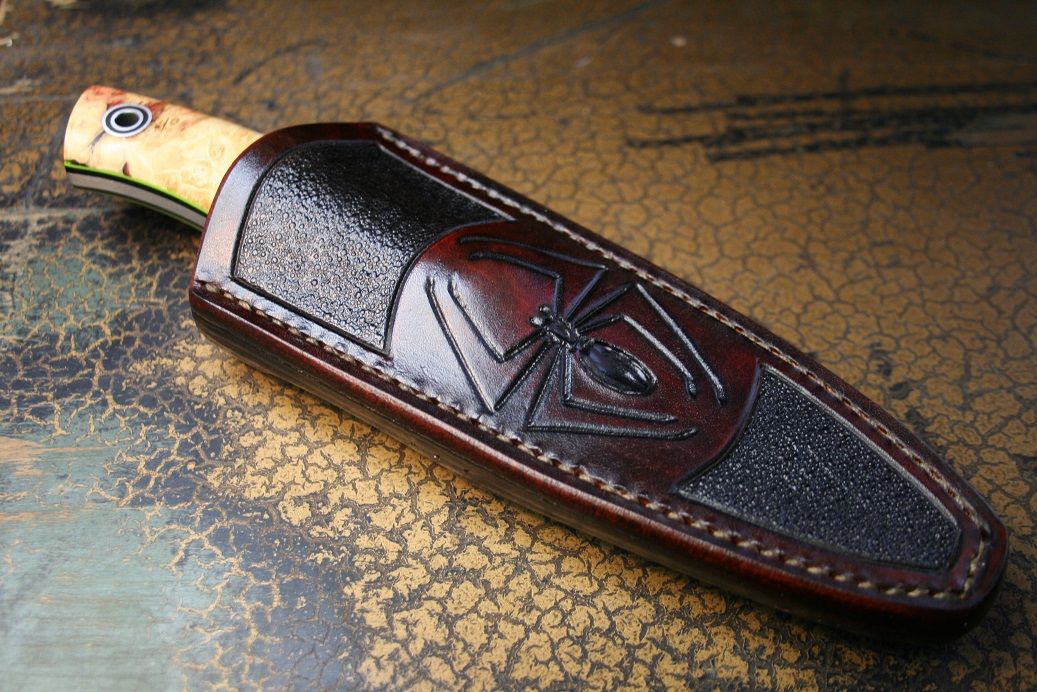 sheath_asp_willc.jpg