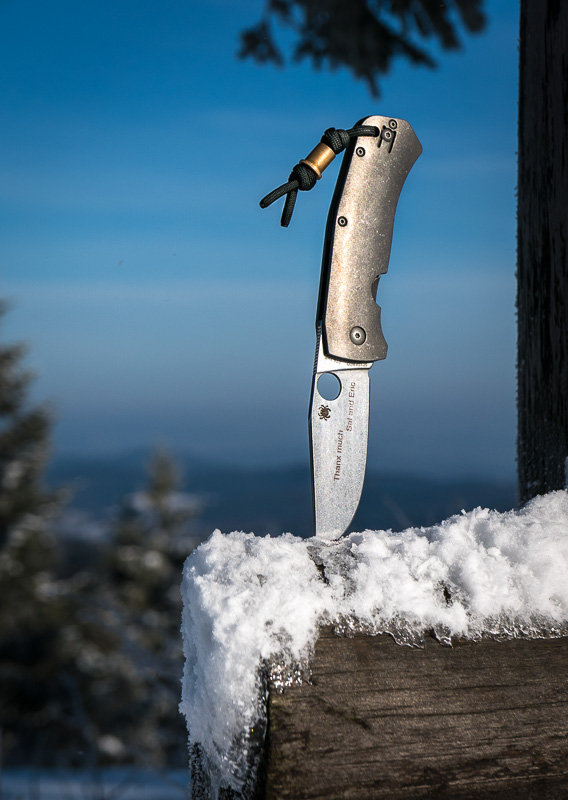 slysz_bowie_snow.jpg