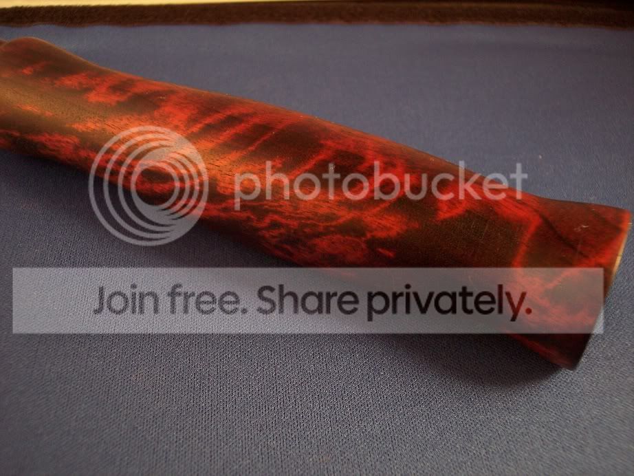 phototent009.jpg